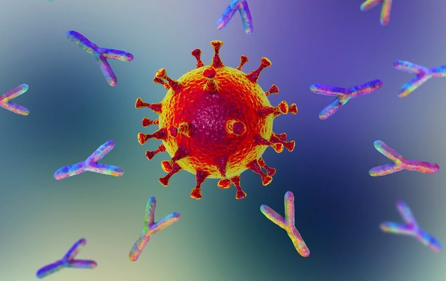 Hacia el uso de anticuerpos NO producidos en animales  