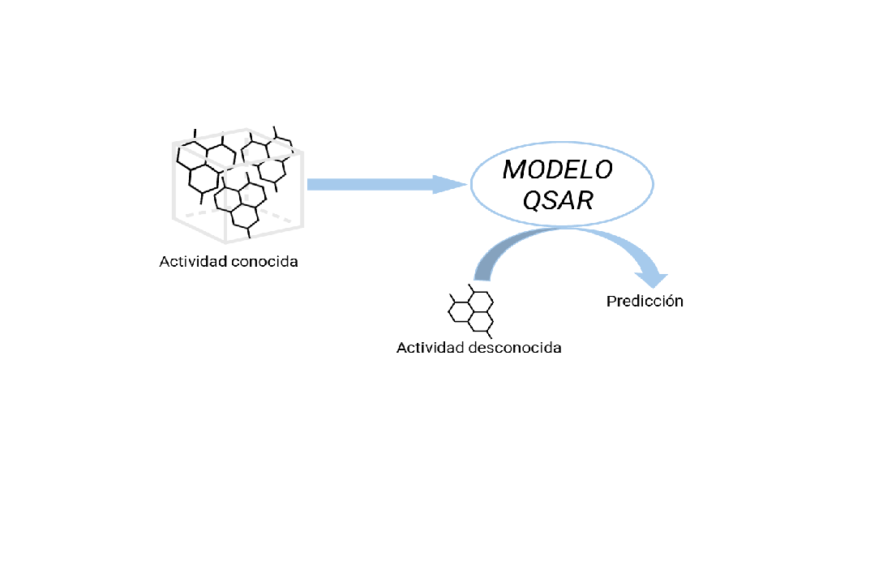 Modelos in silico: la toxicología computacional como alternativa al uso de animales