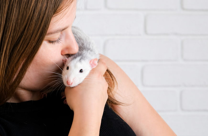 Animales “de laboratorio”: cuándo dejan de ser un número y son vistos como un individuo