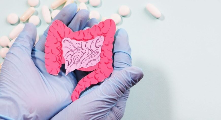 La barrera intestinal: una pieza clave en el desarrollo de fármacos